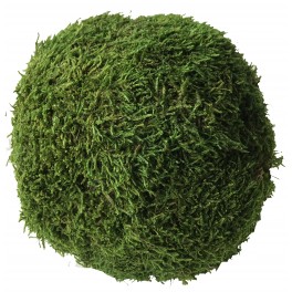 stabilized moss ball