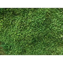 Flat stabilized moss