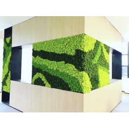 Mur lichen stabilisé